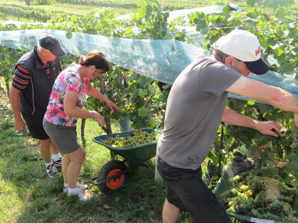 מורביש אם סי Gartenpension Fischl מראה חיצוני תמונה