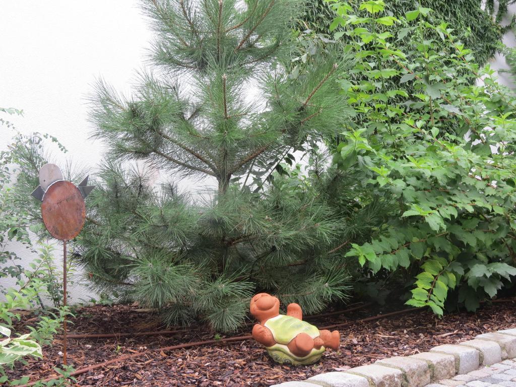 מורביש אם סי Gartenpension Fischl מראה חיצוני תמונה
